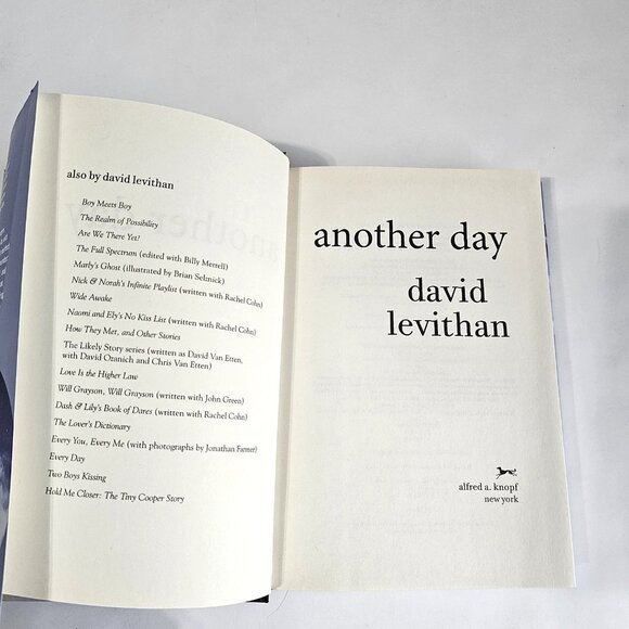EVERY DAY YA Books by David Levithan - Picture 8 of 12